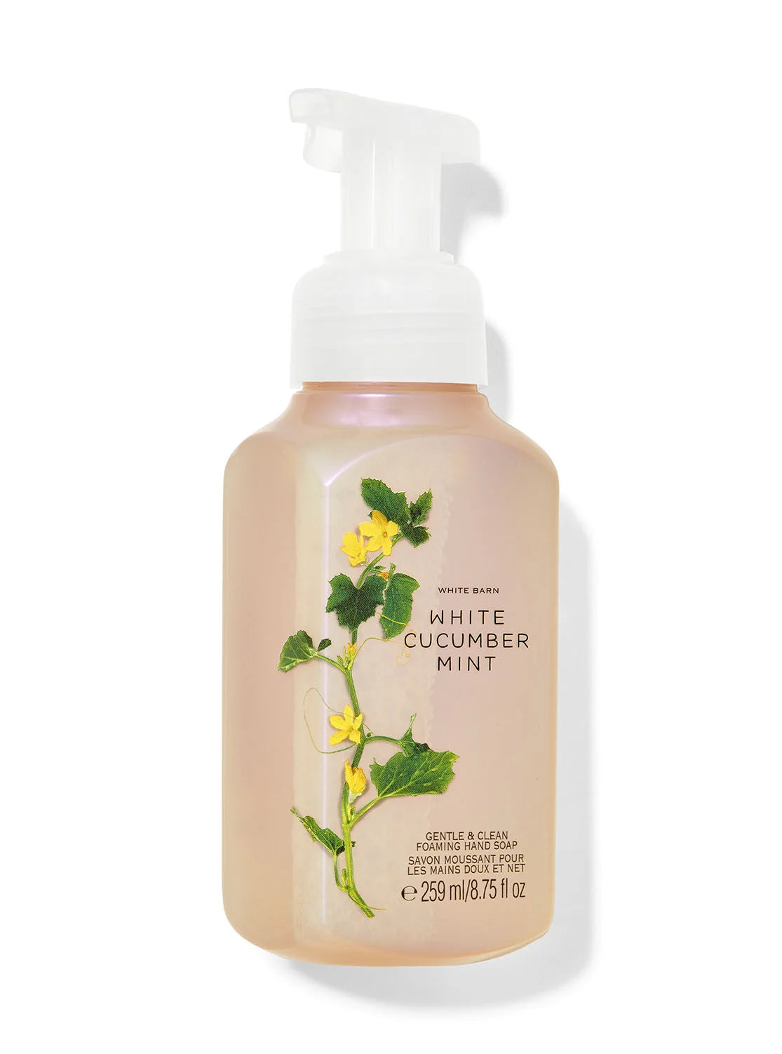 White Cucumber Mint