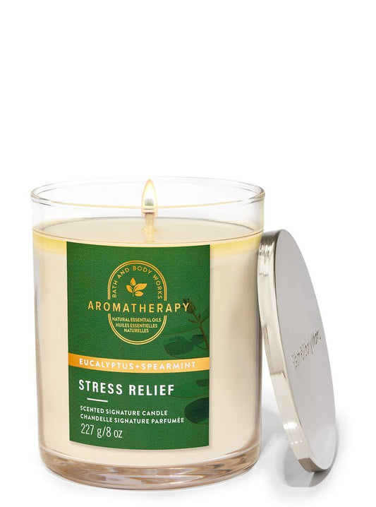 Eucalyptus + Spearmint single wick candle